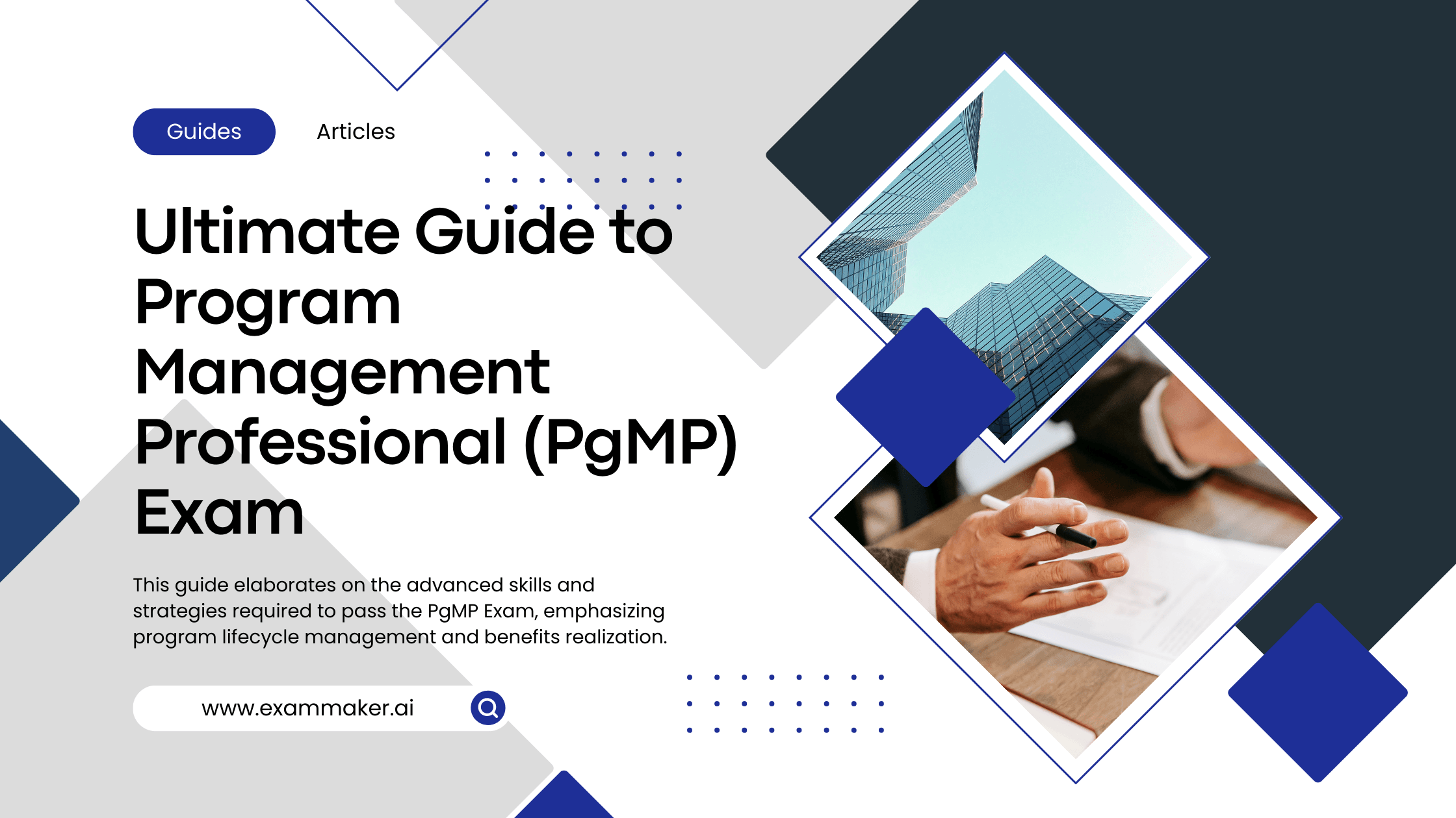 Program Management Professional (PgMP) Study Guide